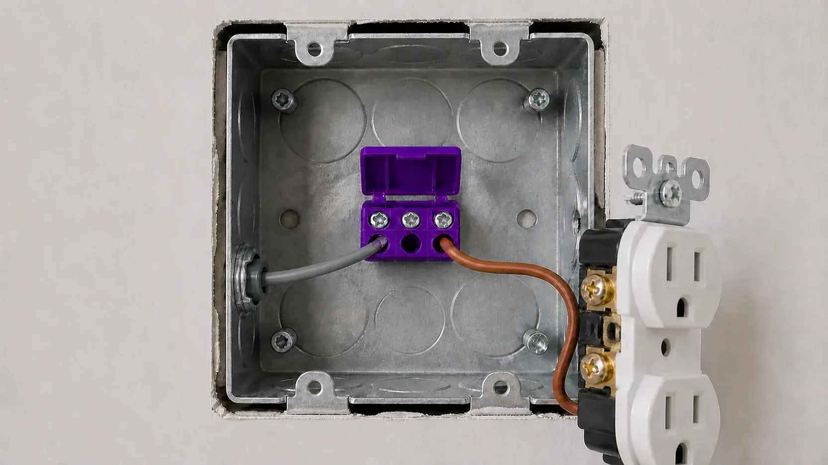 Close view of branch-circuit connections being examined inside an electrical box
